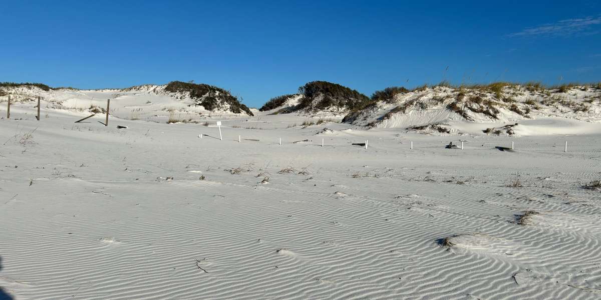 Eglin AFB - Matterhorn Dune Restoration Site