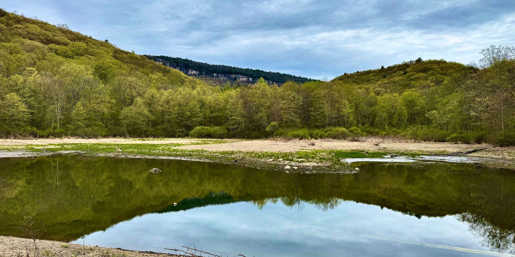 Second image to compare