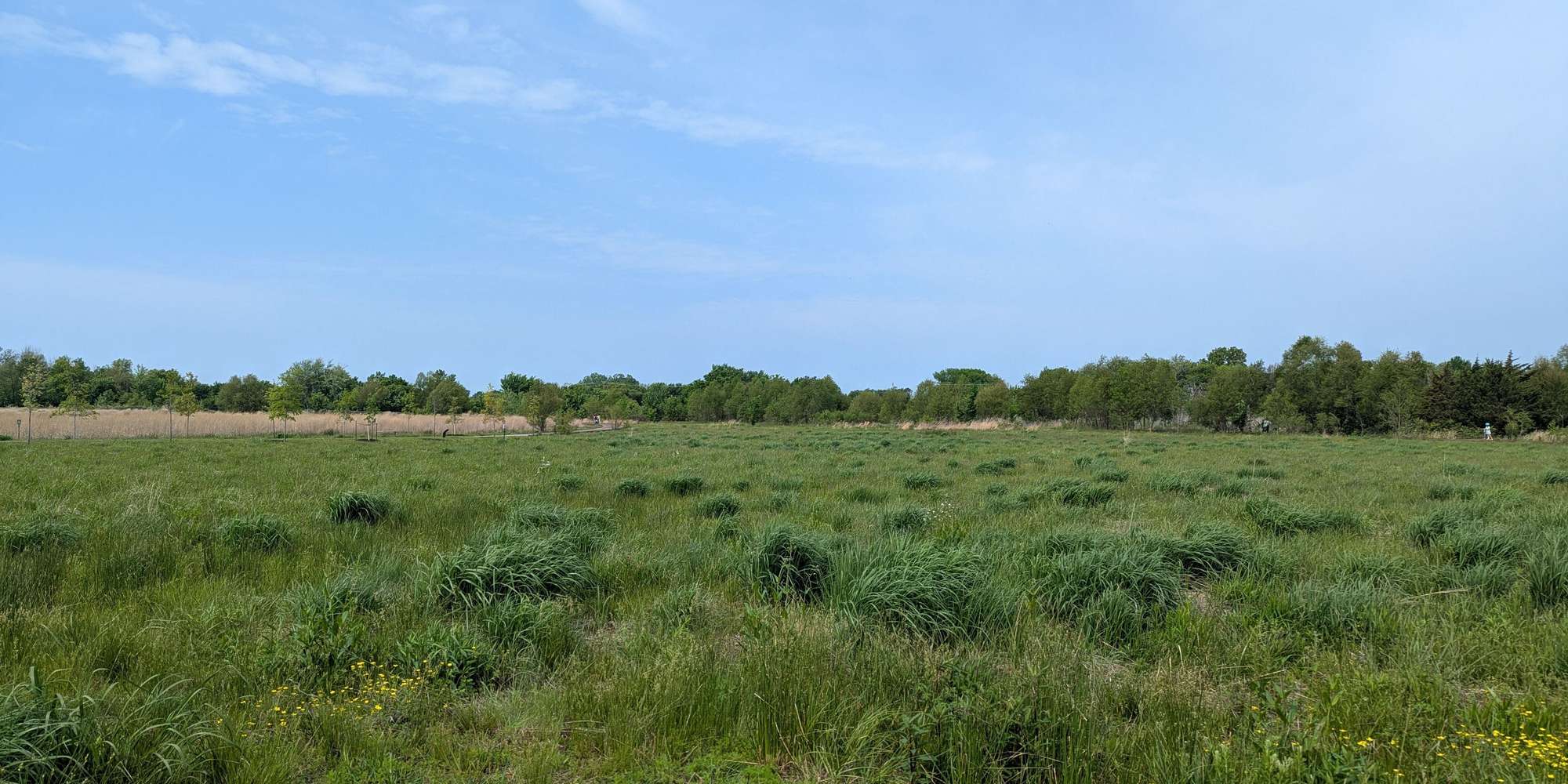 Second image to compare