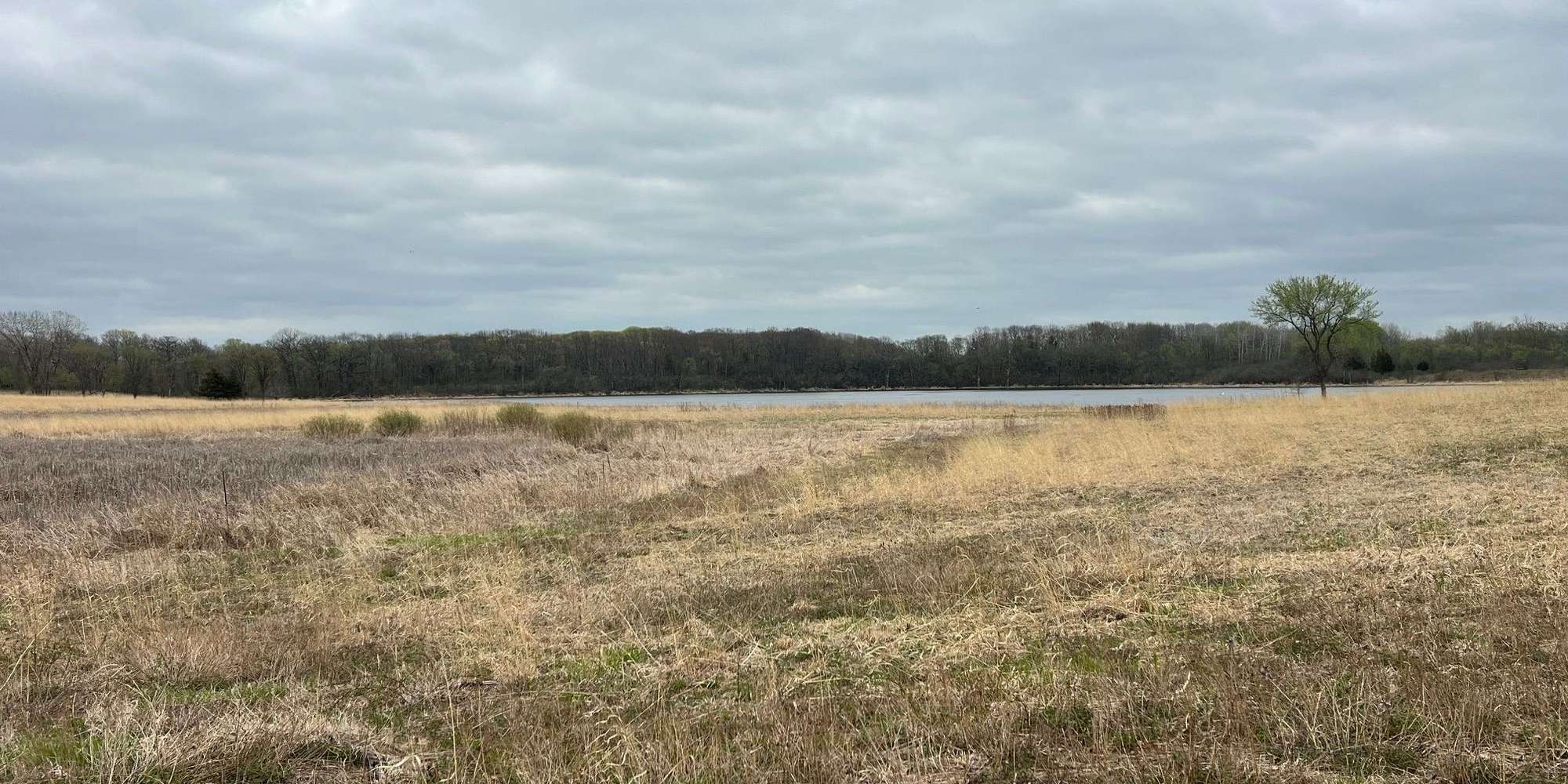 Second image to compare