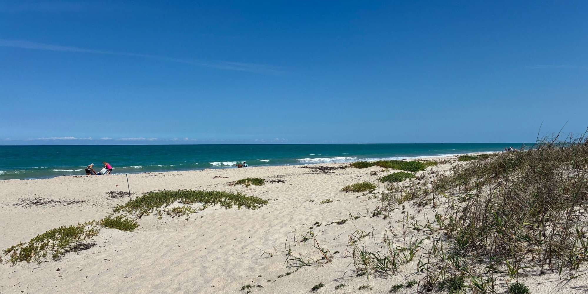 Second image to compare