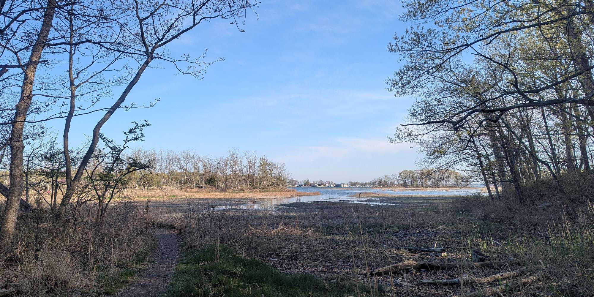 Second image to compare