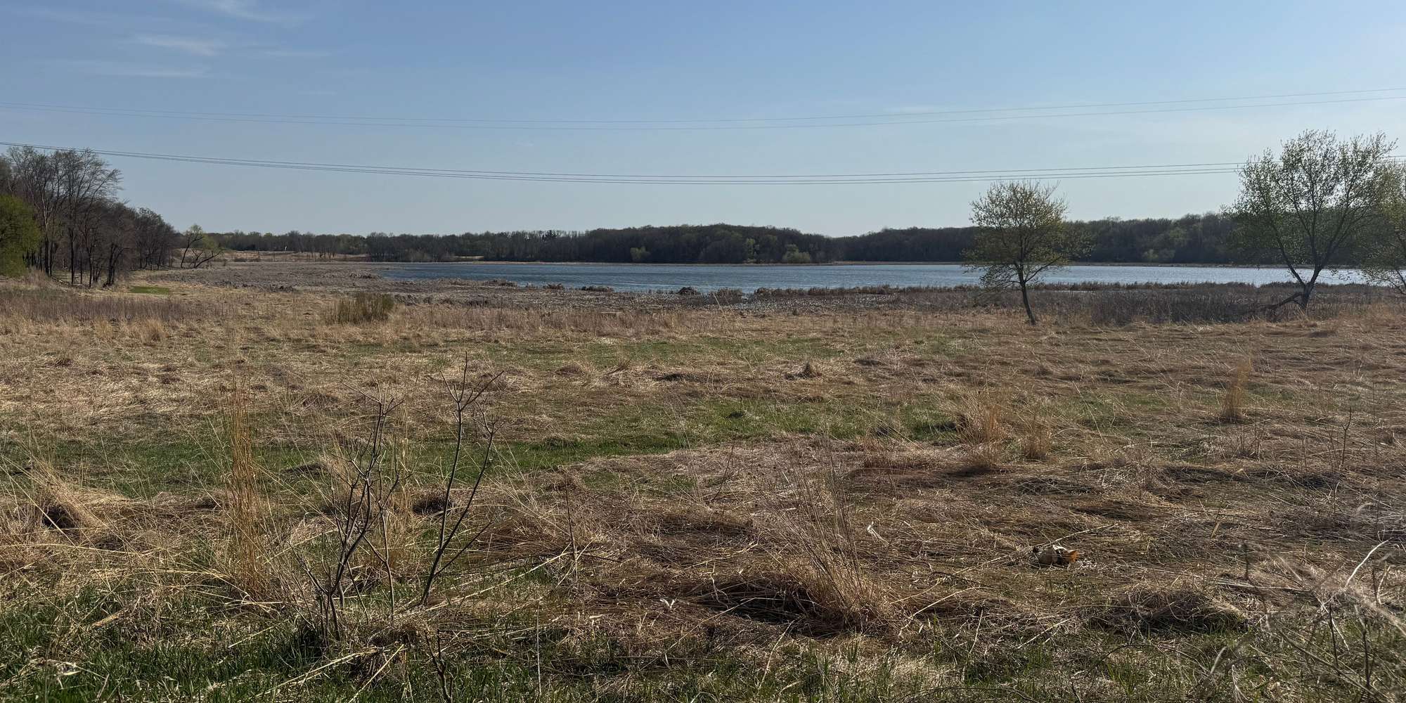 Second image to compare