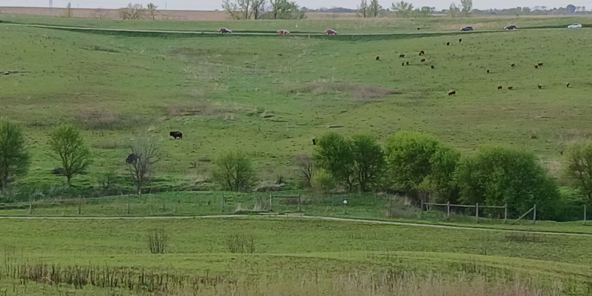 Second image to compare