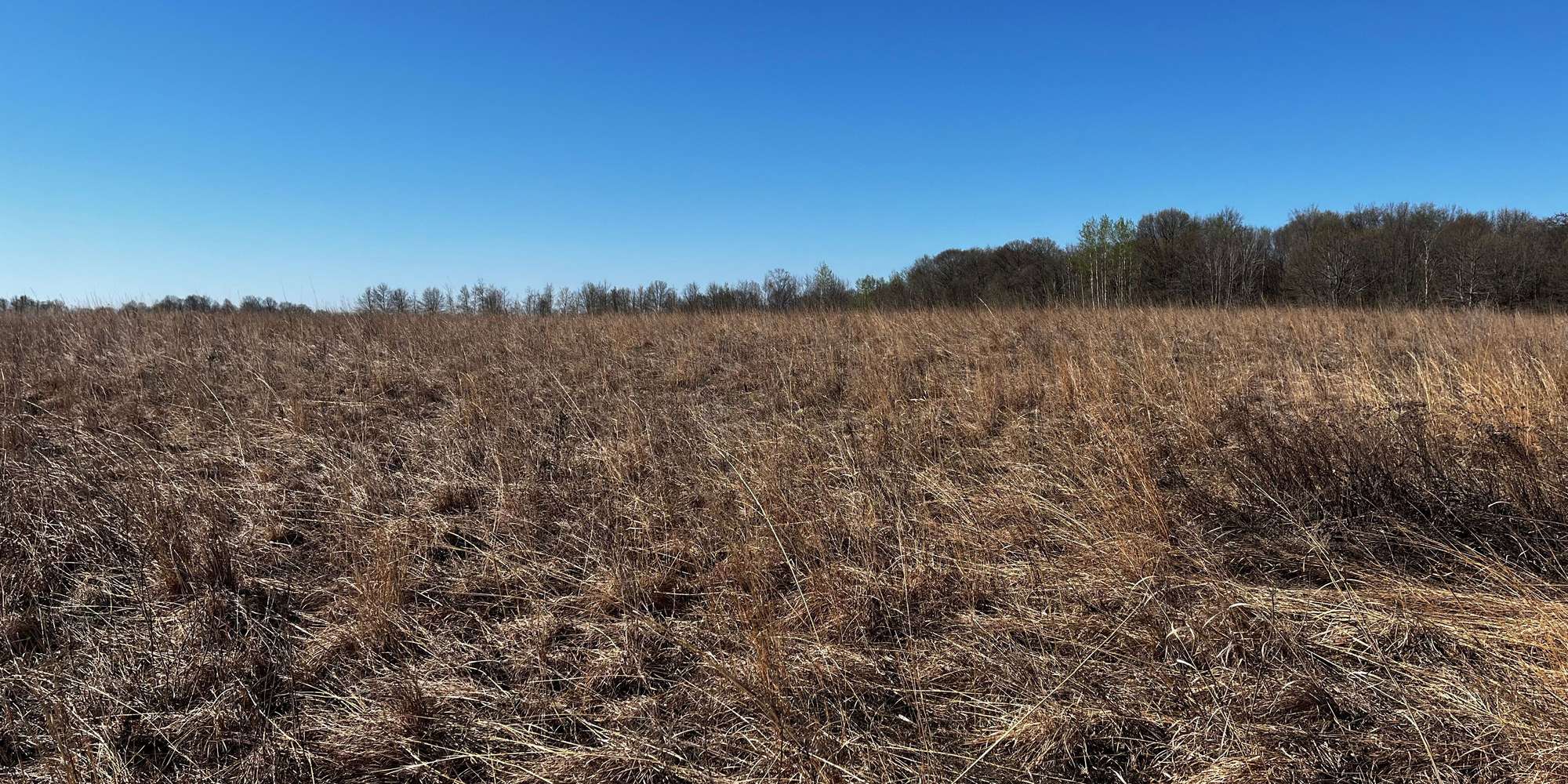 Second image to compare