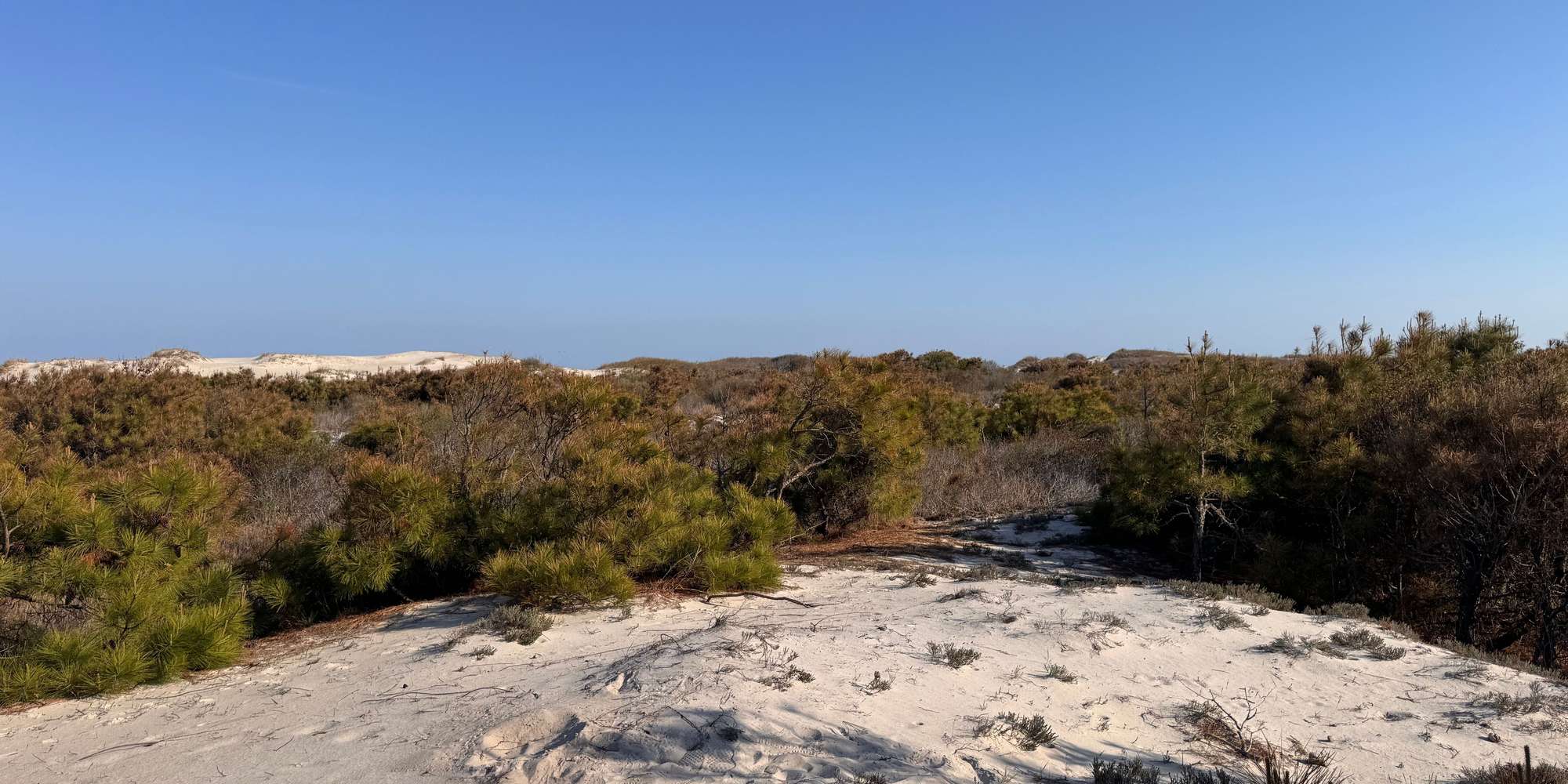 Second image to compare