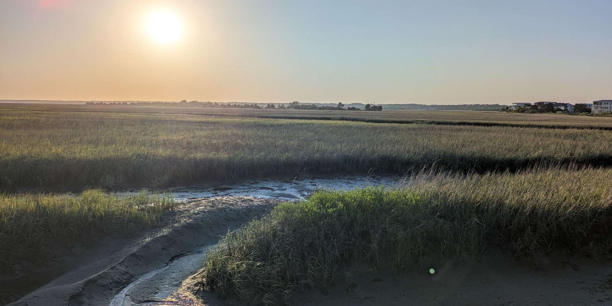 Second image to compare