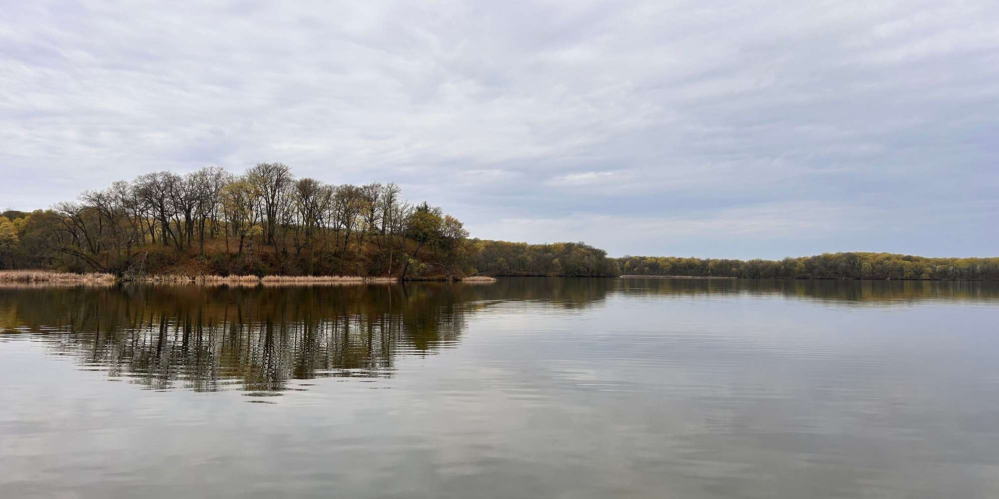 Second image to compare