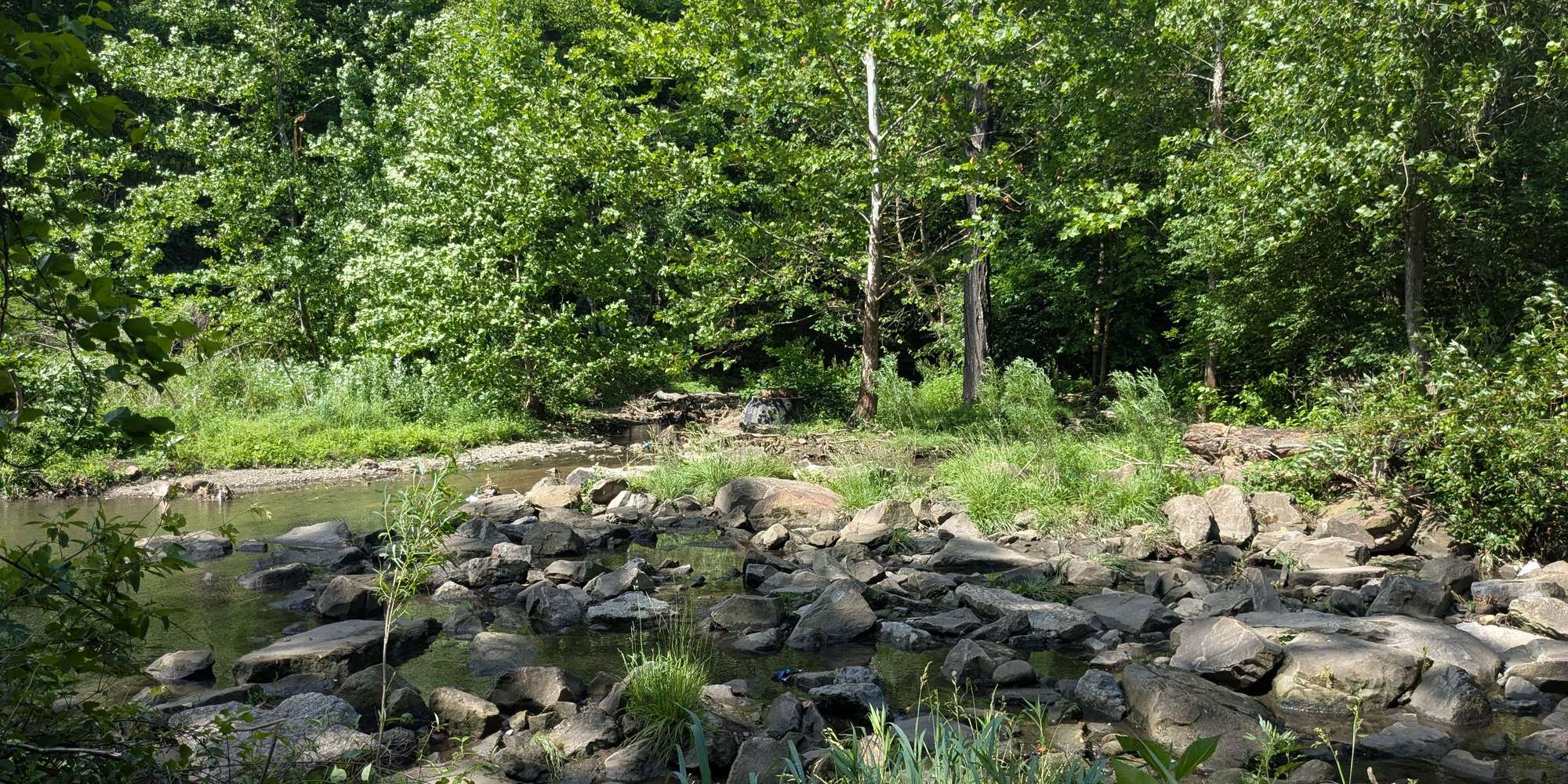 Second image to compare