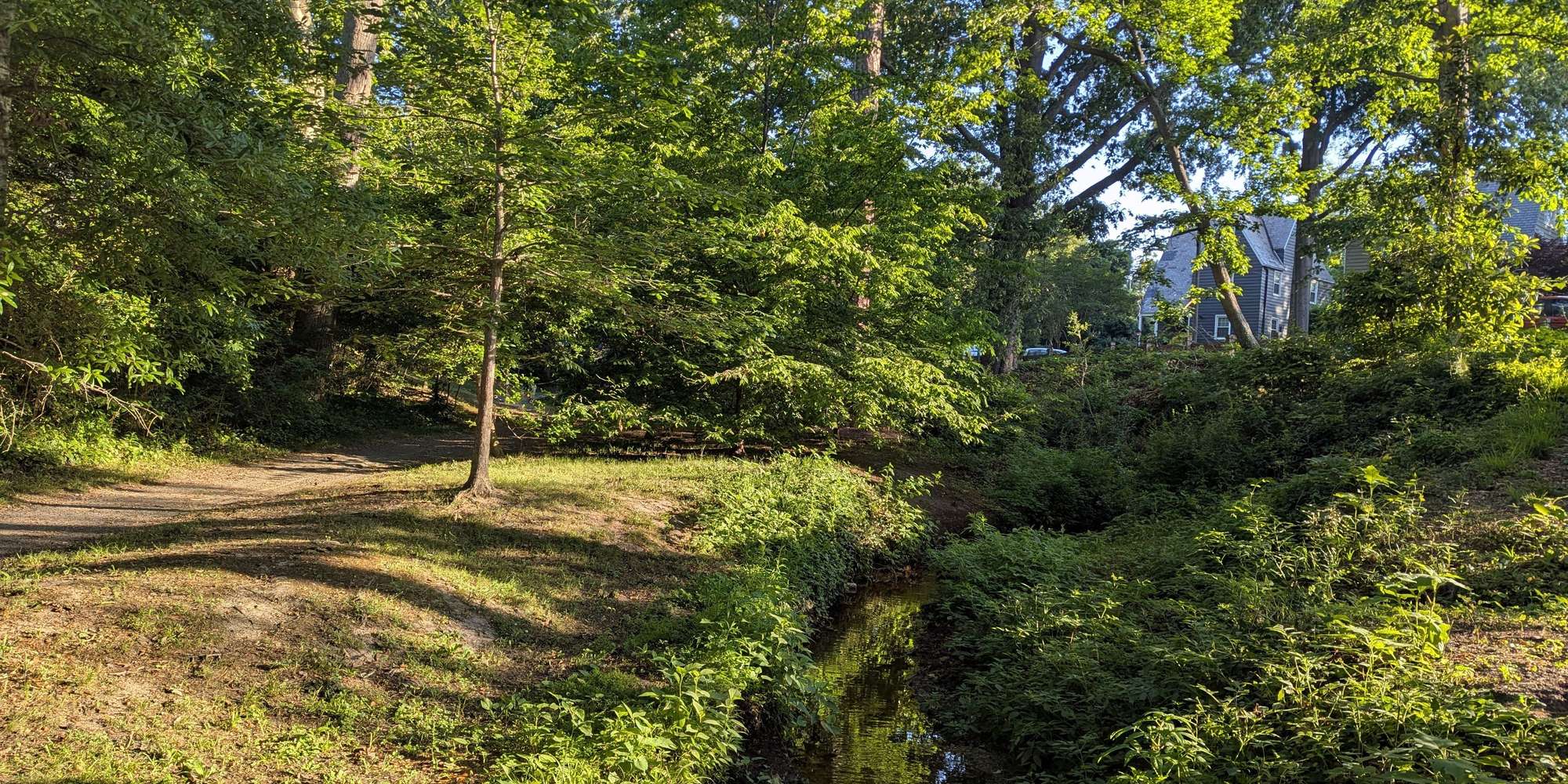 Second image to compare