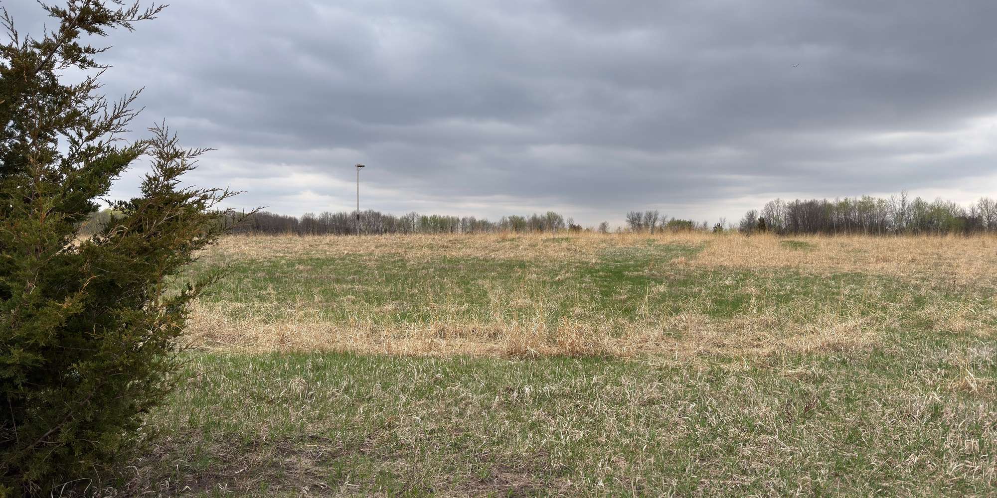 Second image to compare