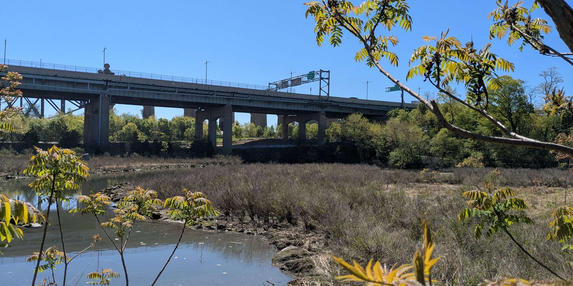 Second image to compare