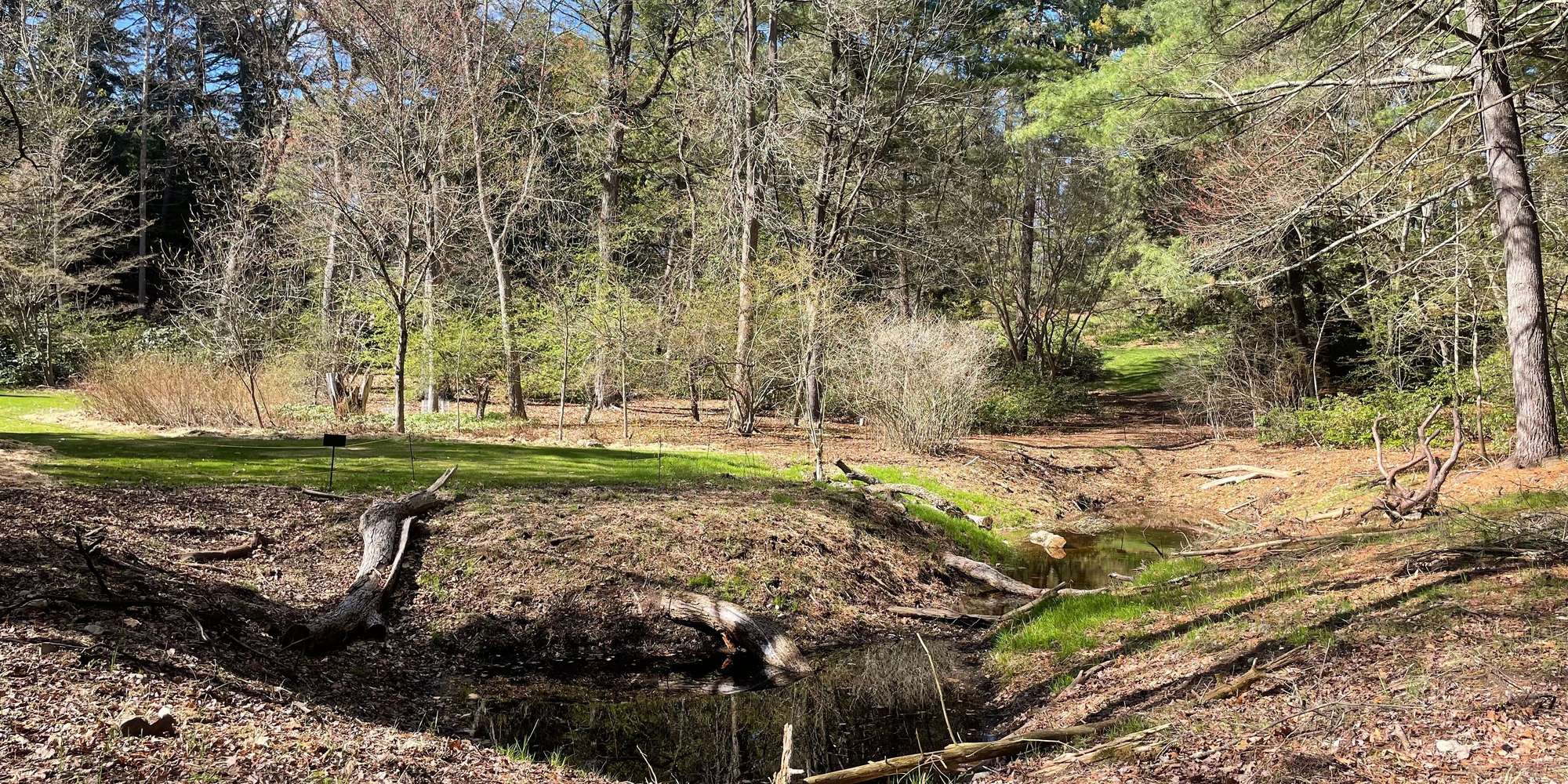 Second image to compare