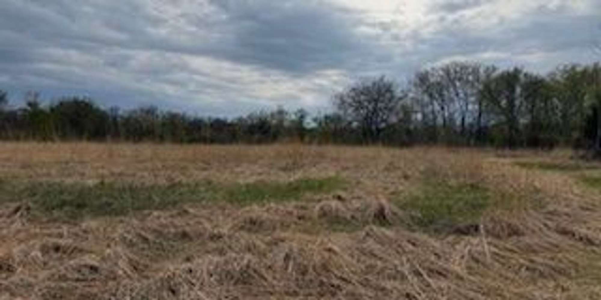 Second image to compare