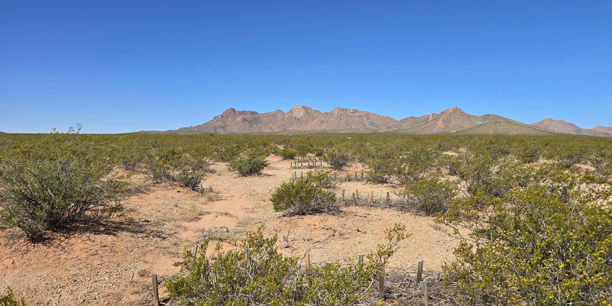 Second image to compare