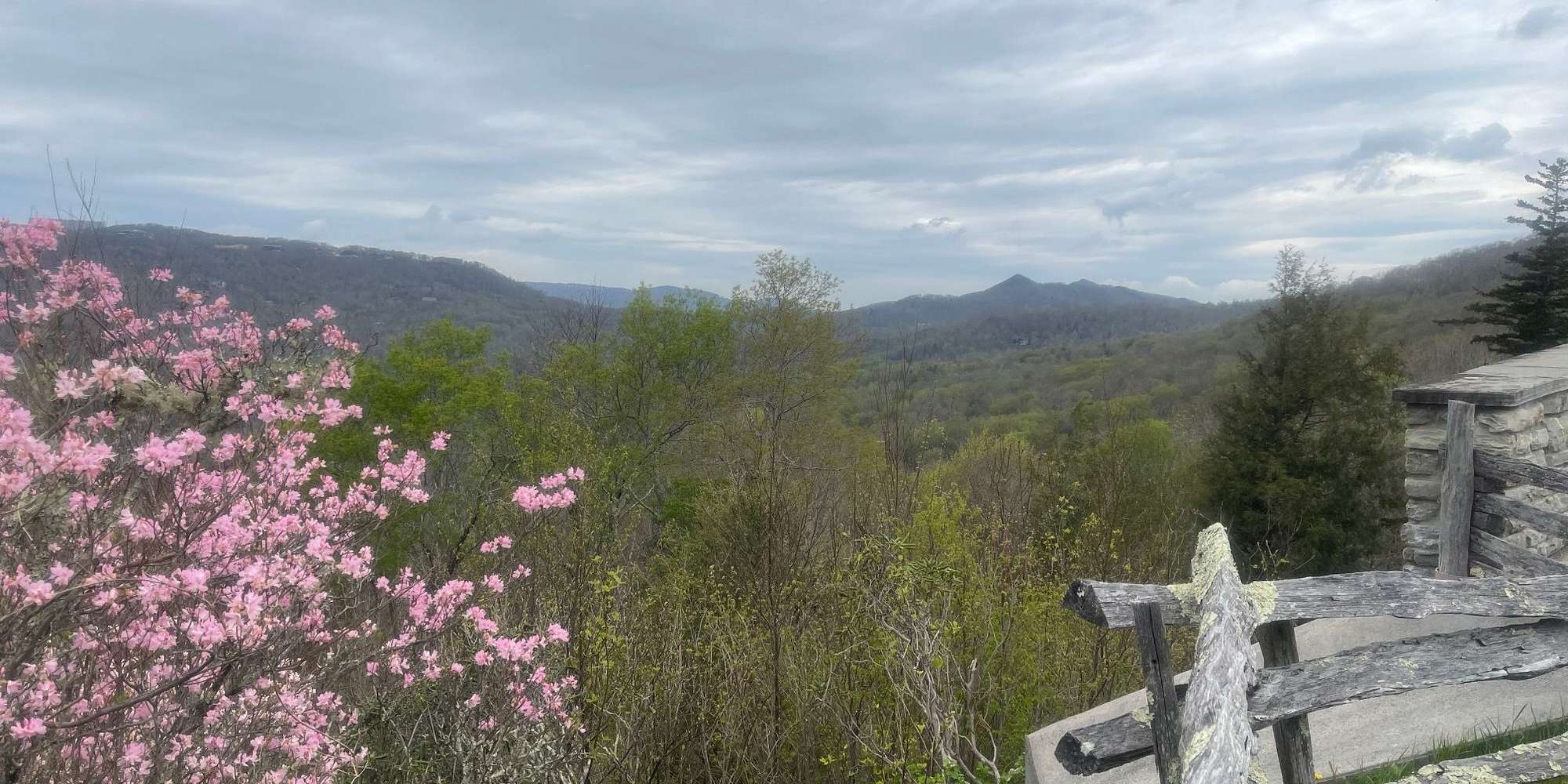 Second image to compare