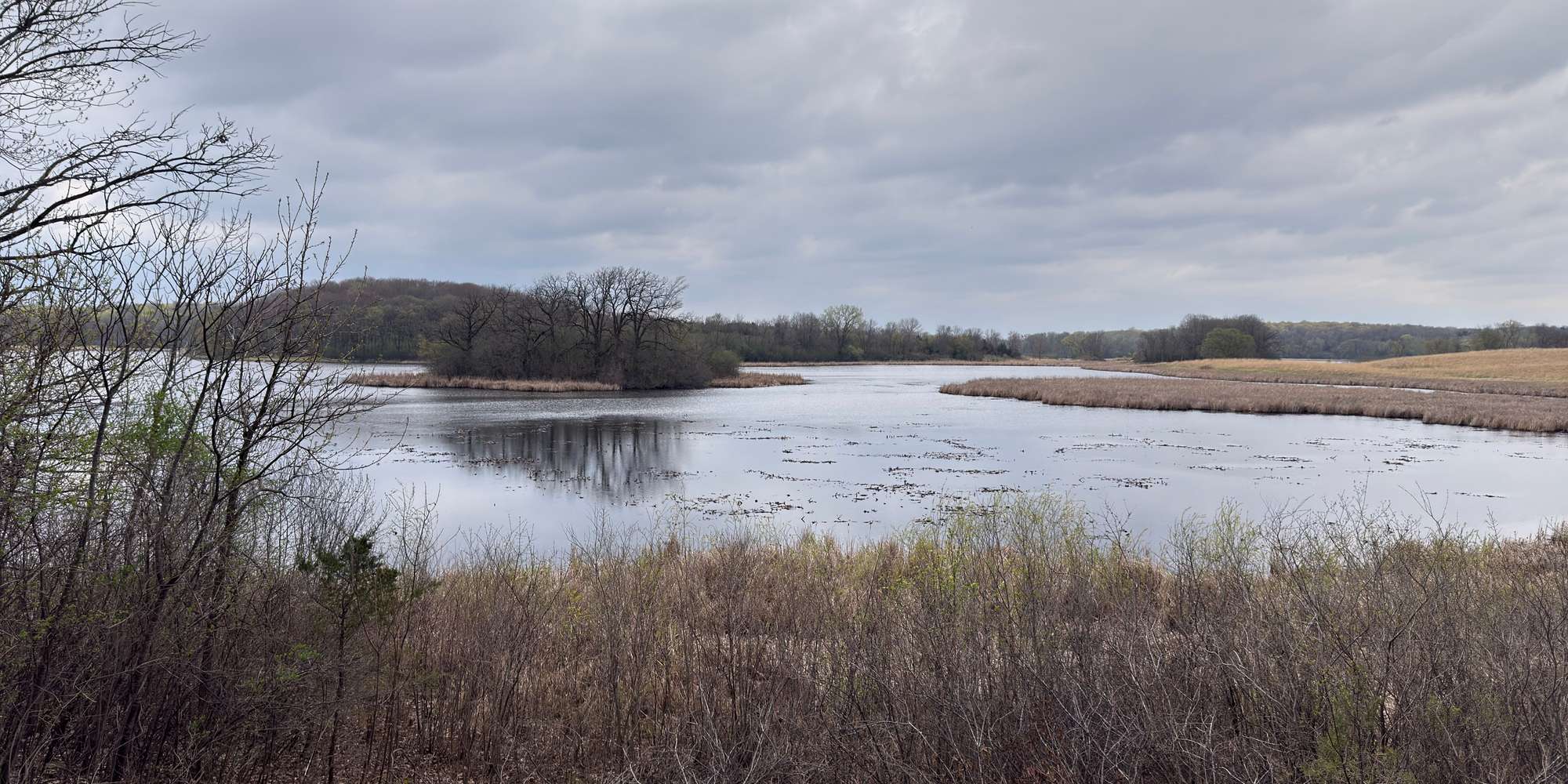 Second image to compare