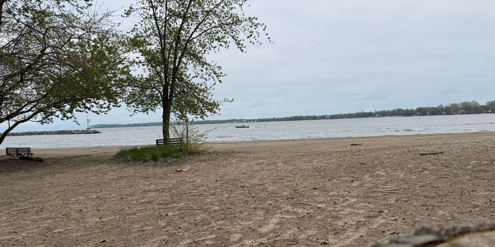 Second image to compare