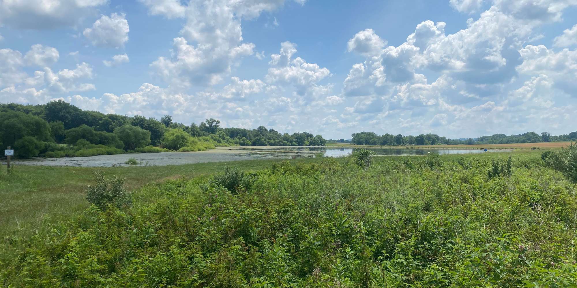 Second image to compare