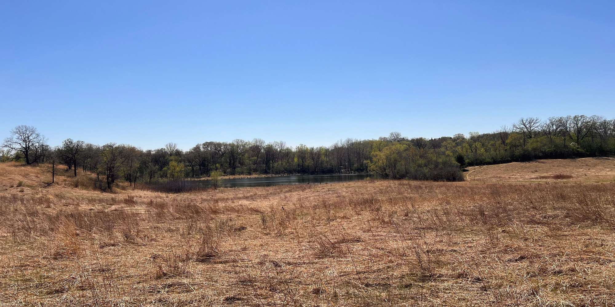 Second image to compare