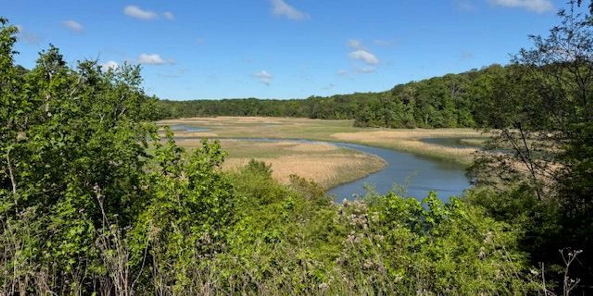 Second image to compare