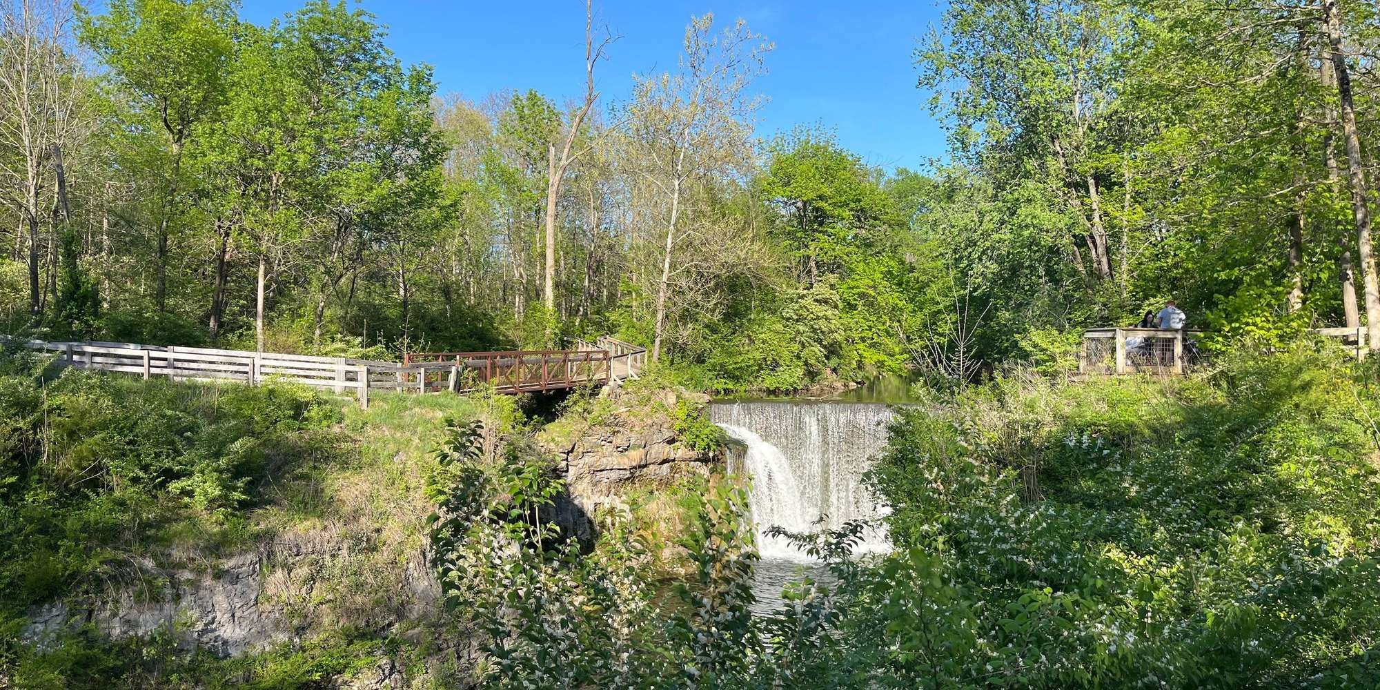 Second image to compare