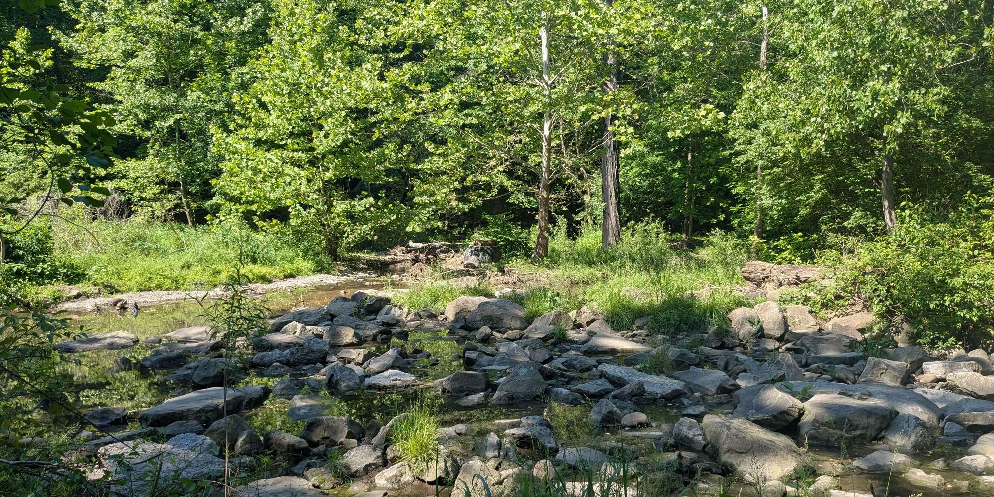 Second image to compare