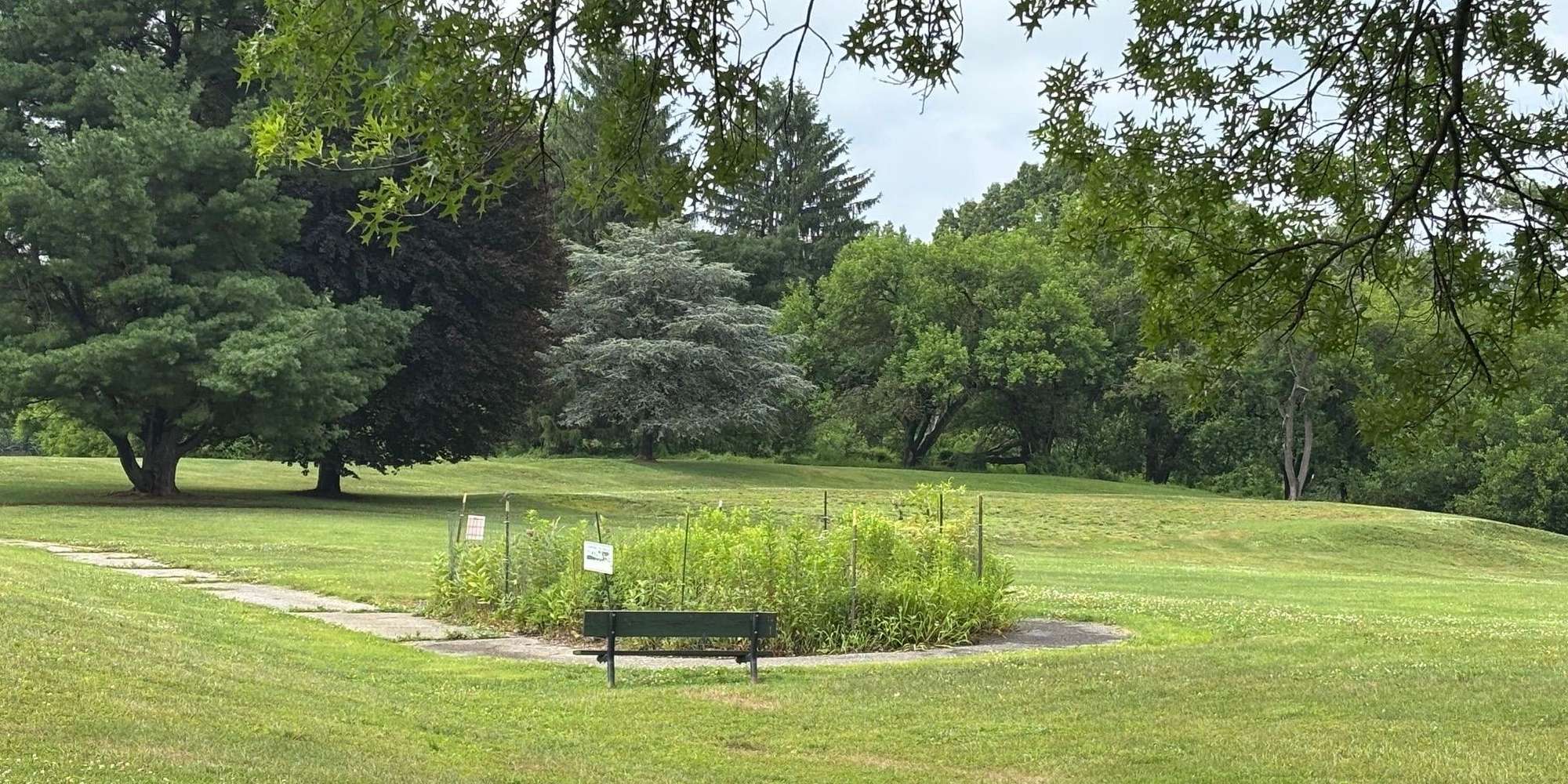 Second image to compare