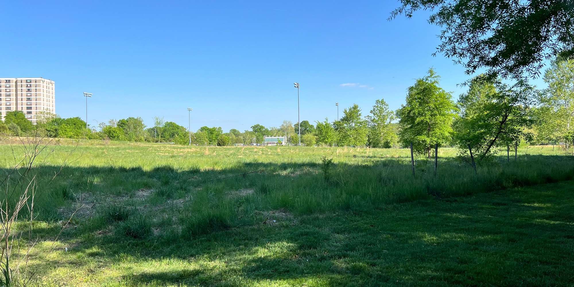 Second image to compare