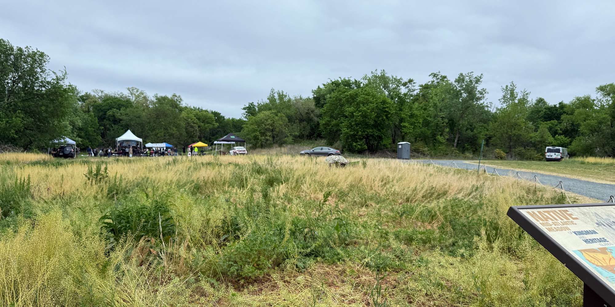 Second image to compare