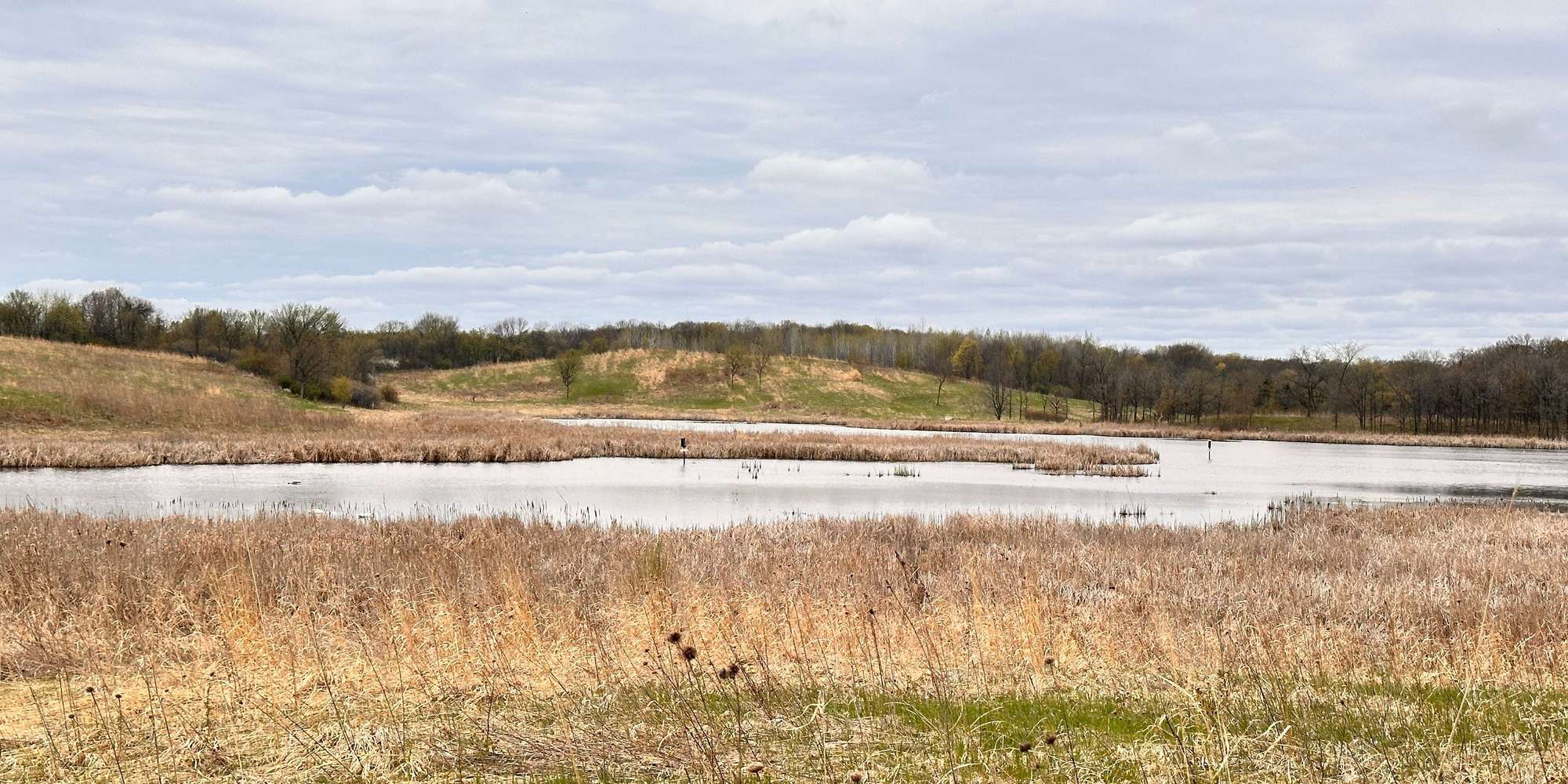 Second image to compare