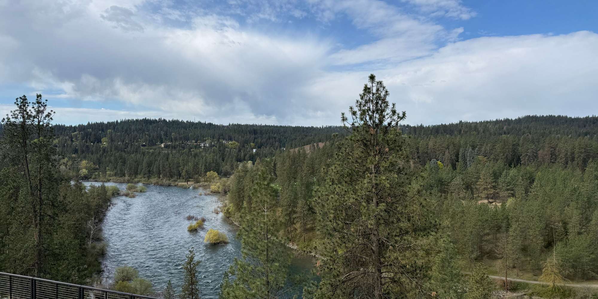 Second image to compare