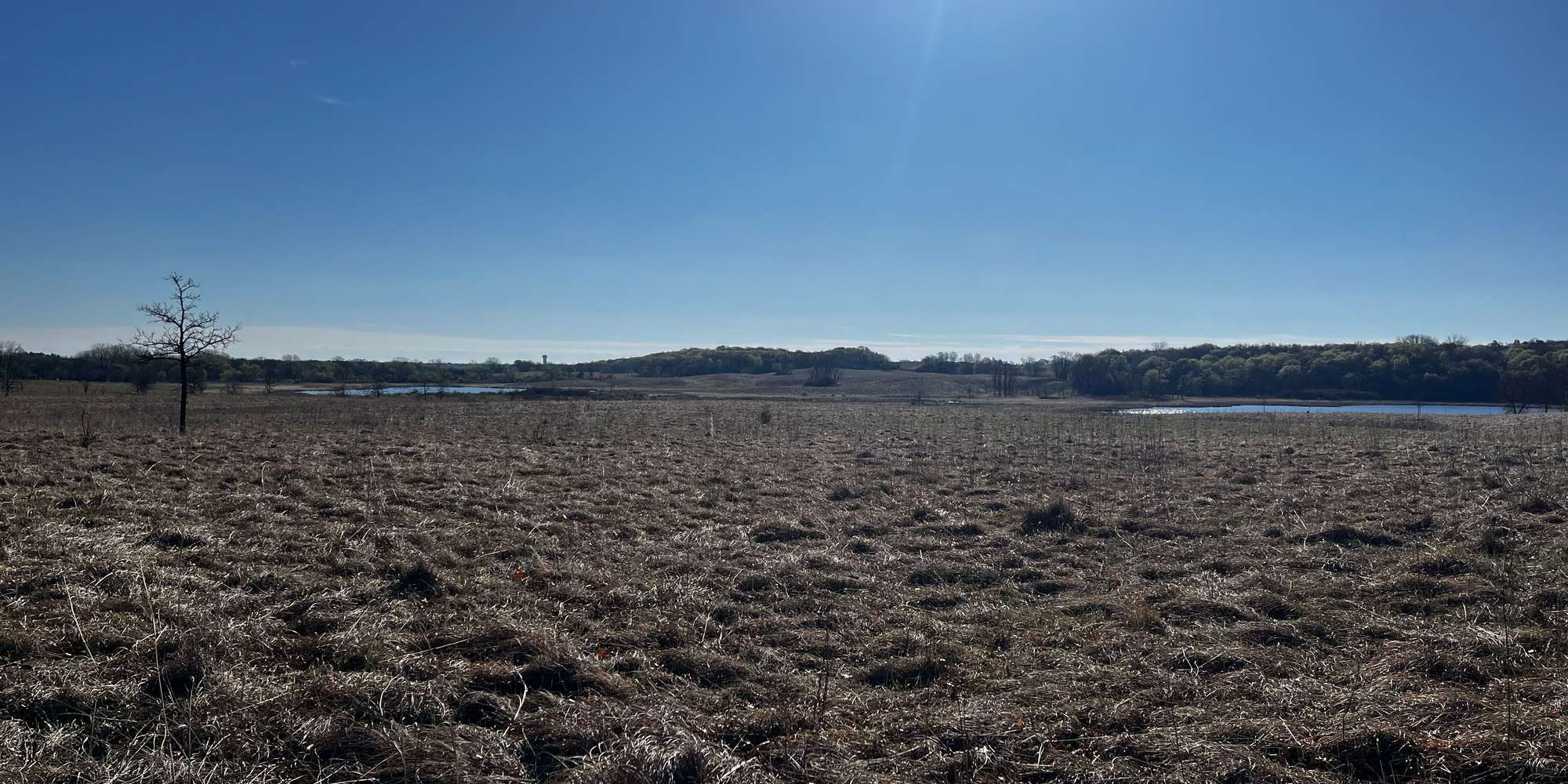 Second image to compare