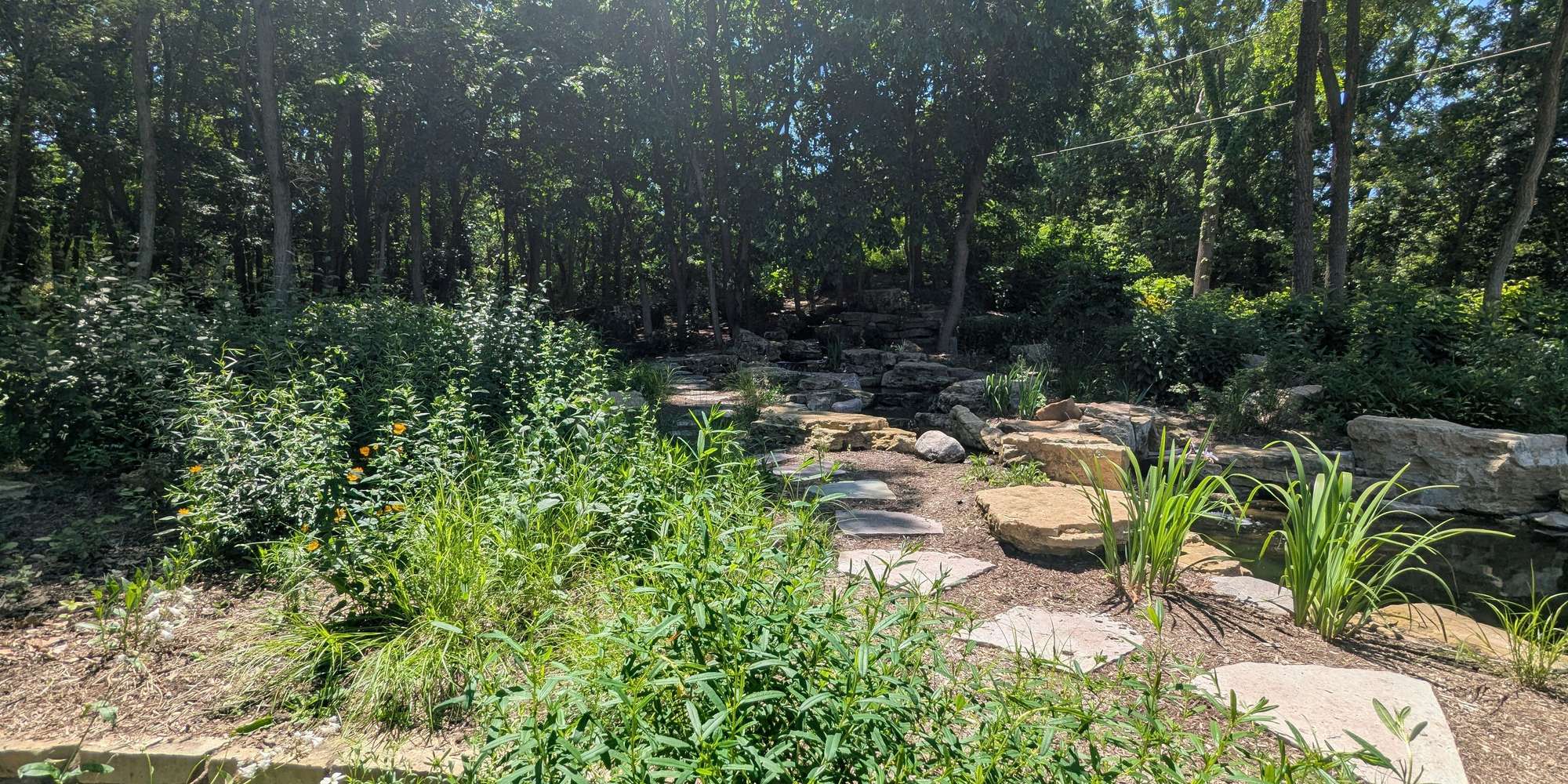 Second image to compare