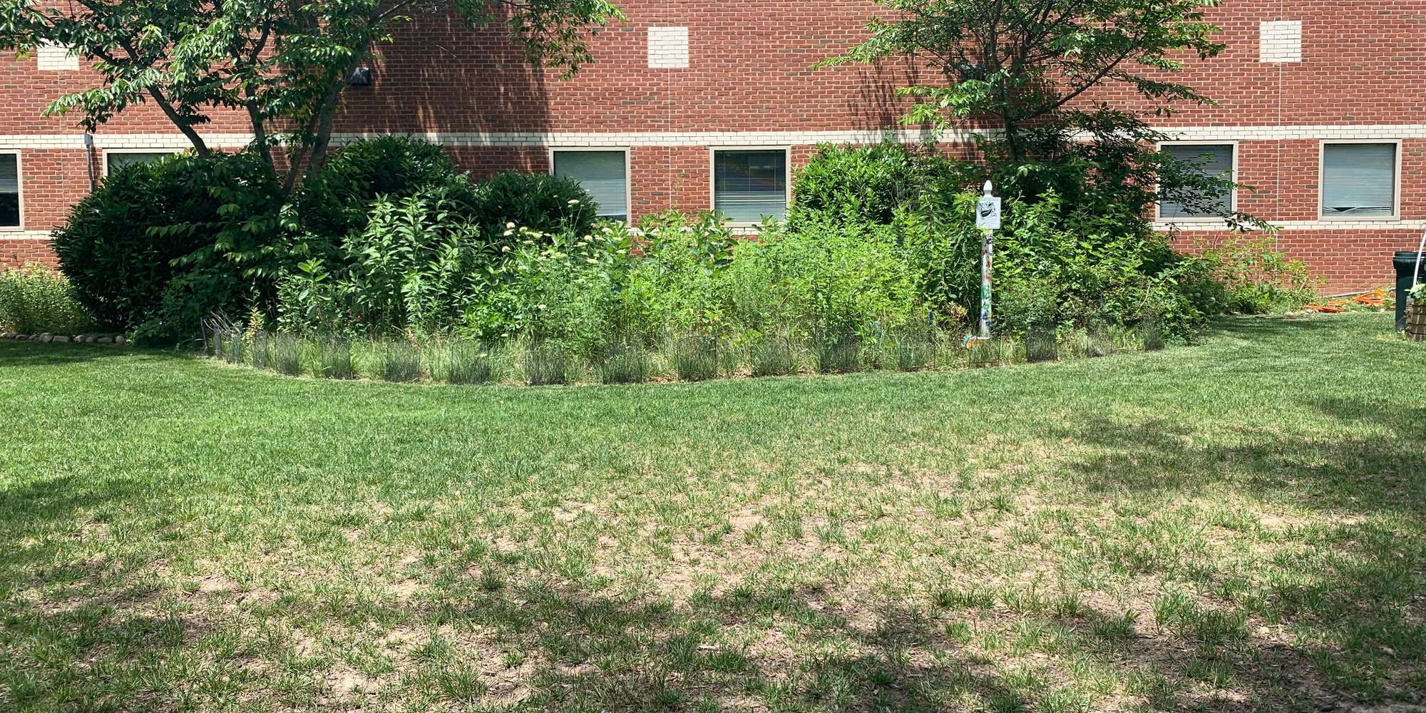 Second image to compare