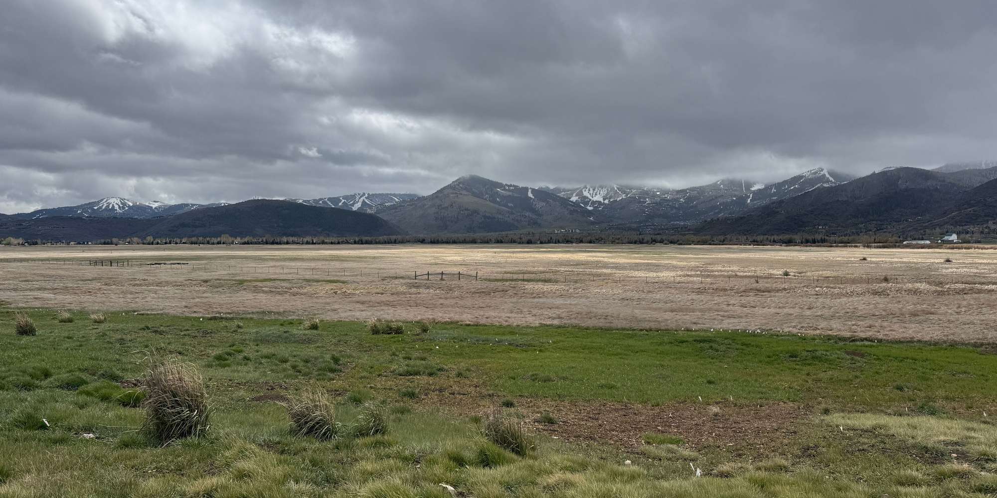 Second image to compare