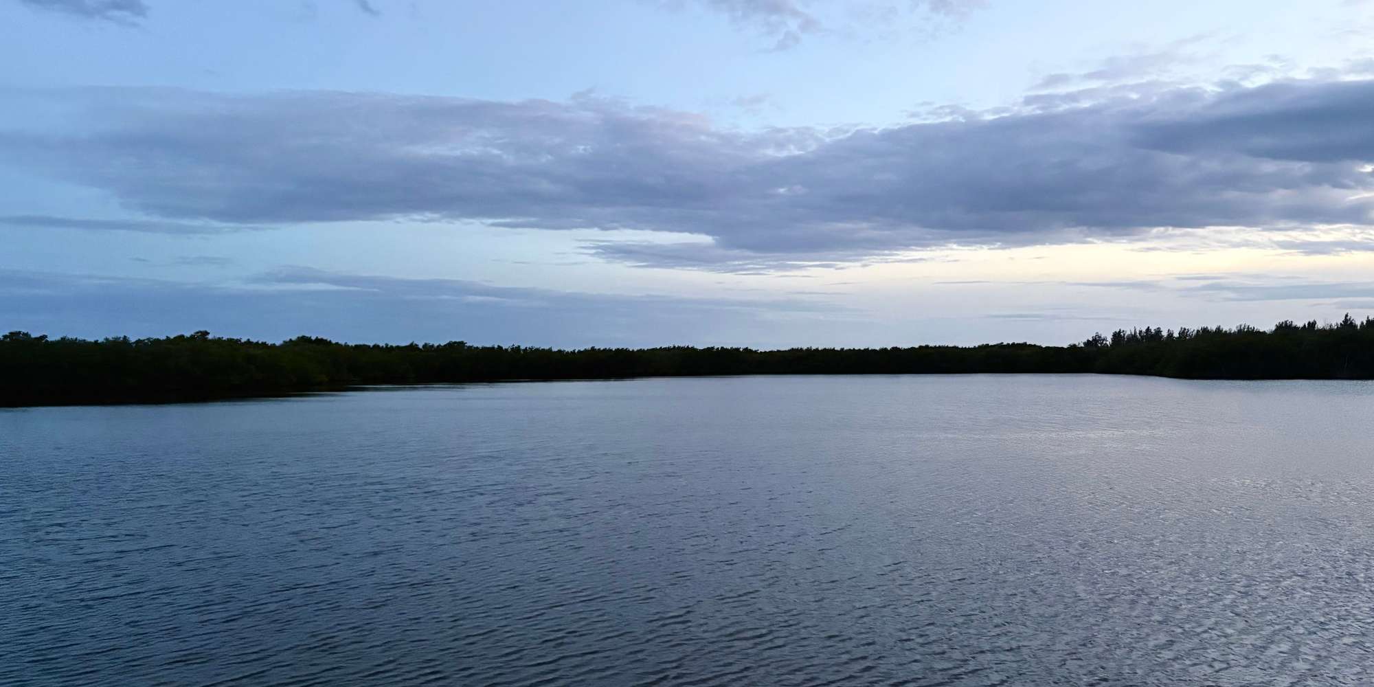 Second image to compare