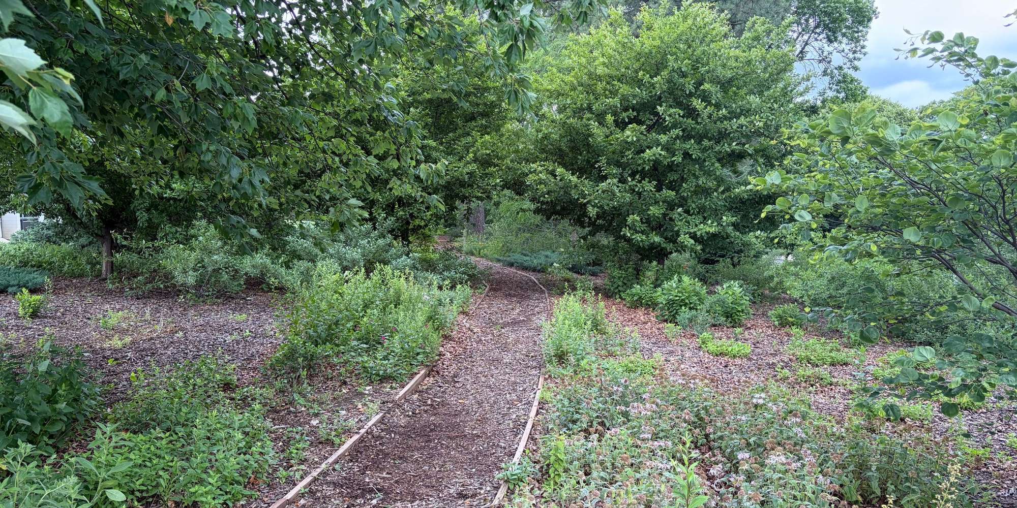 Second image to compare