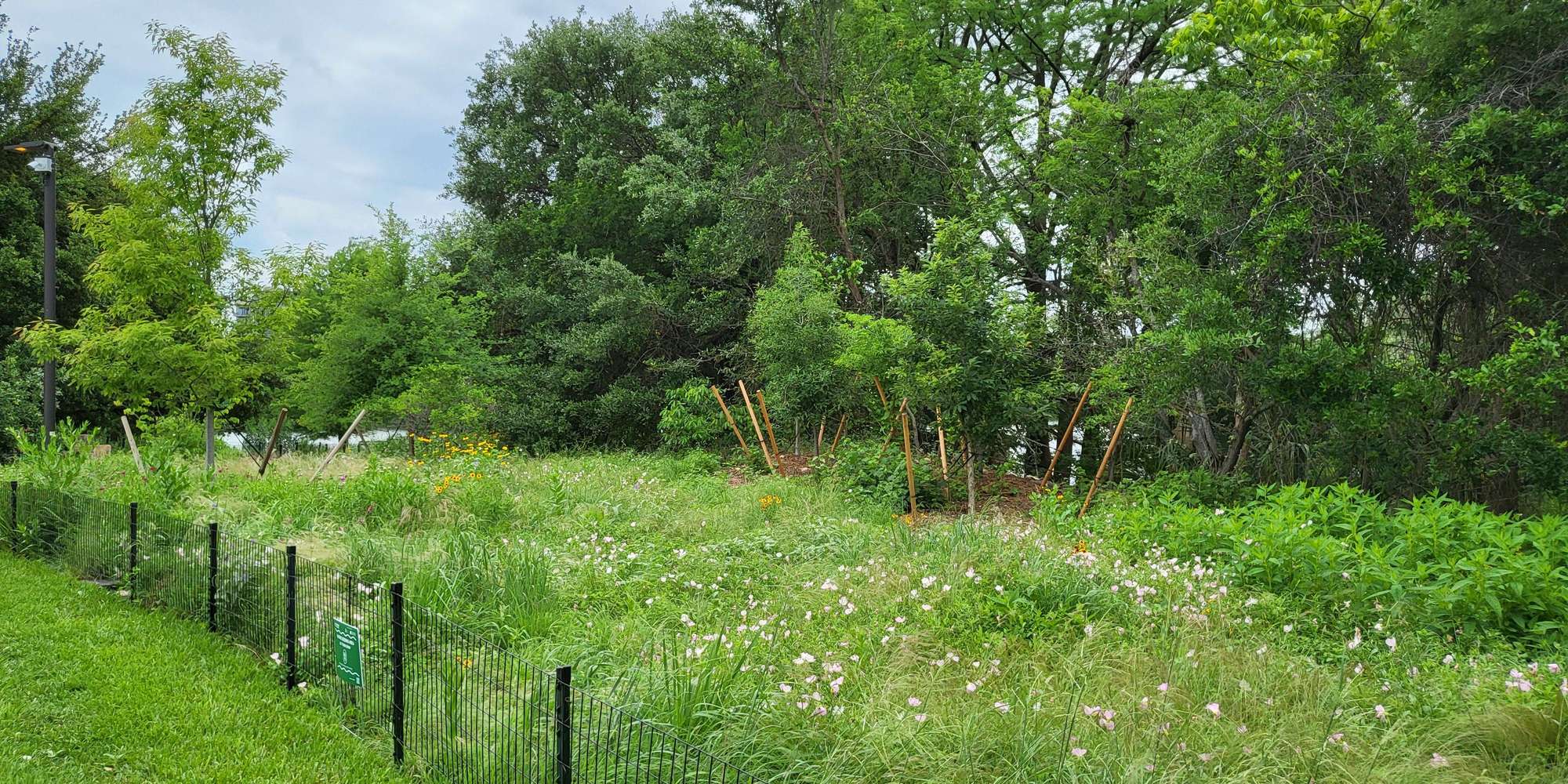 Second image to compare