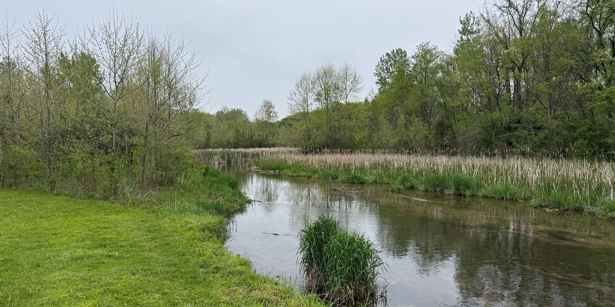 Second image to compare