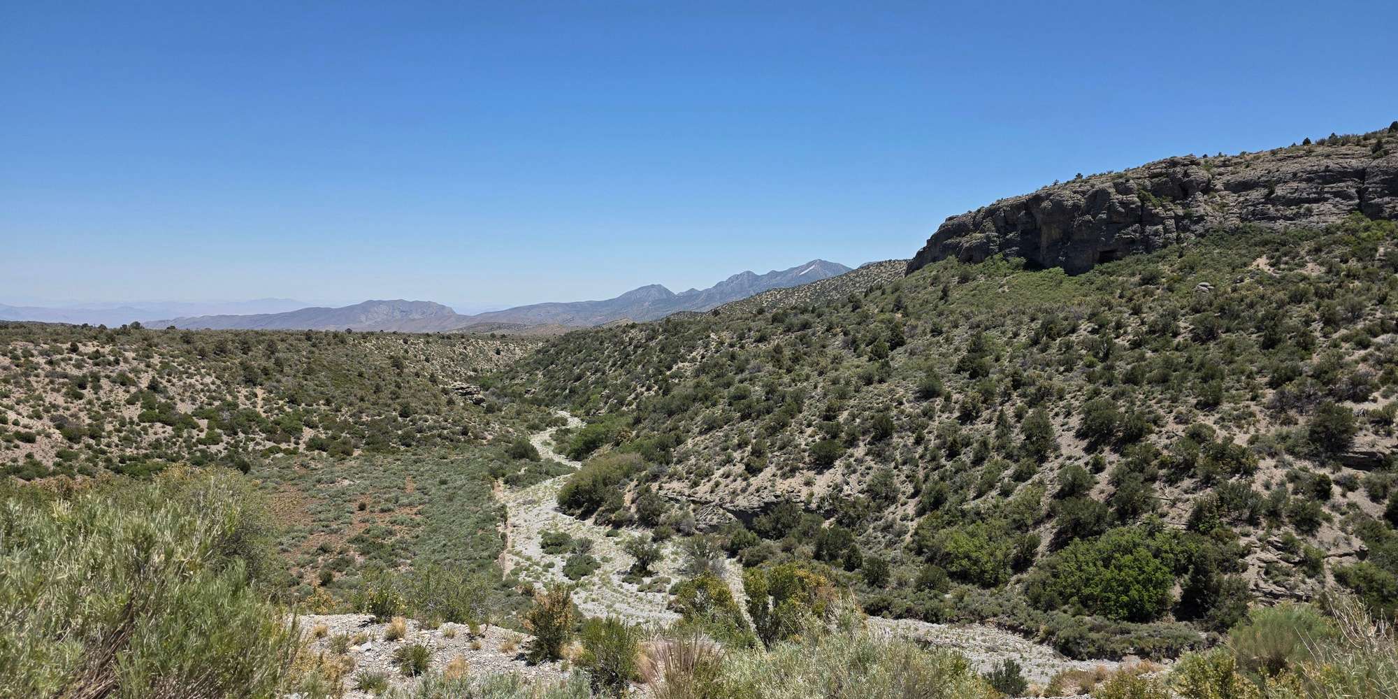Second image to compare