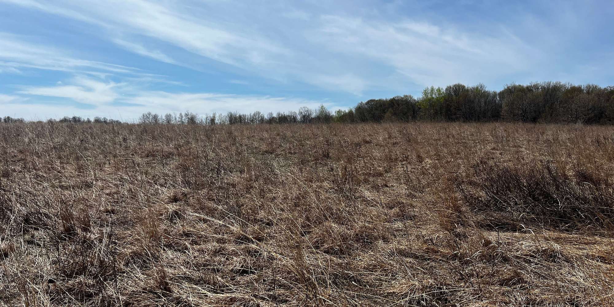 Second image to compare