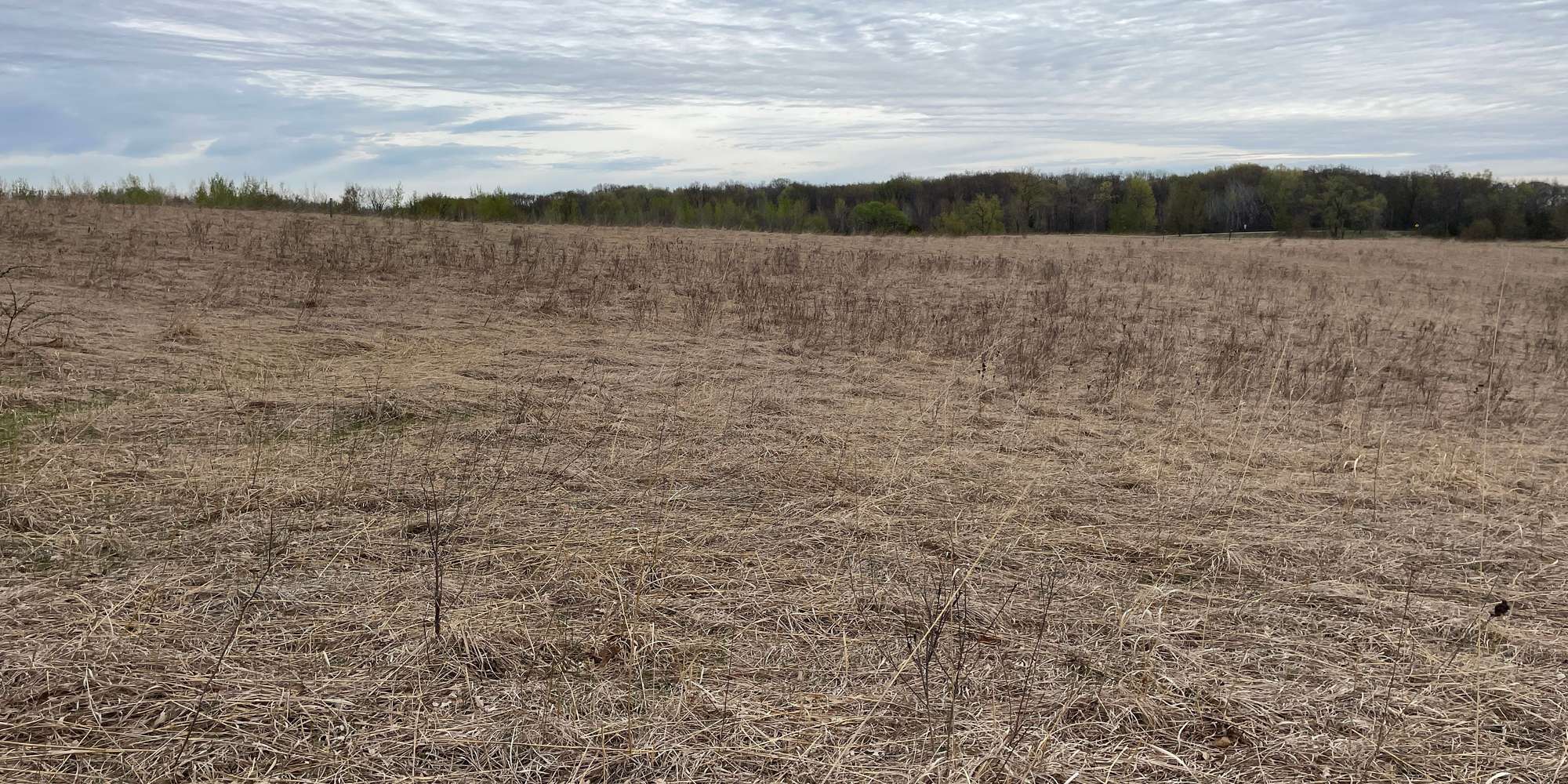 Second image to compare