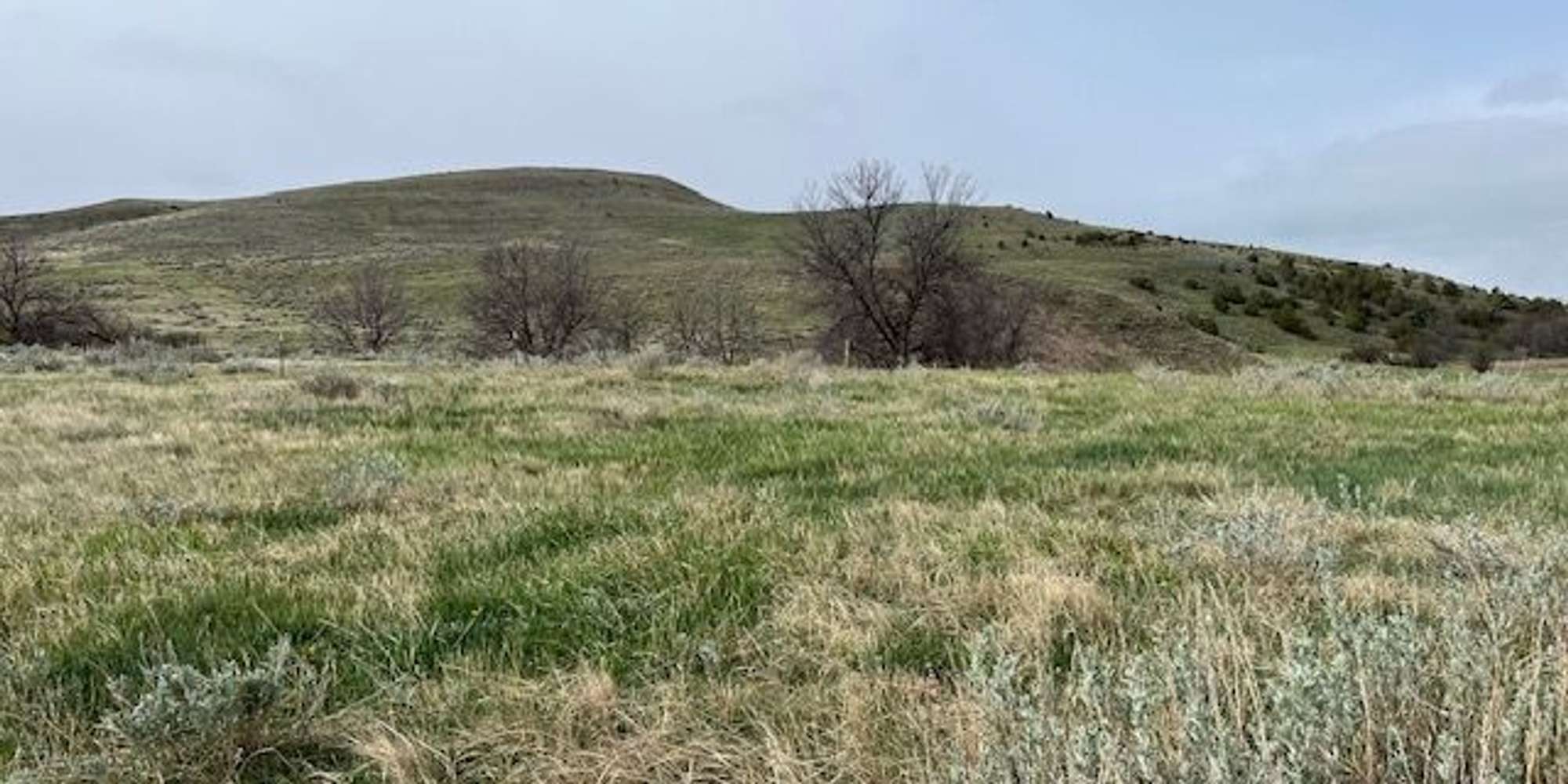 Second image to compare