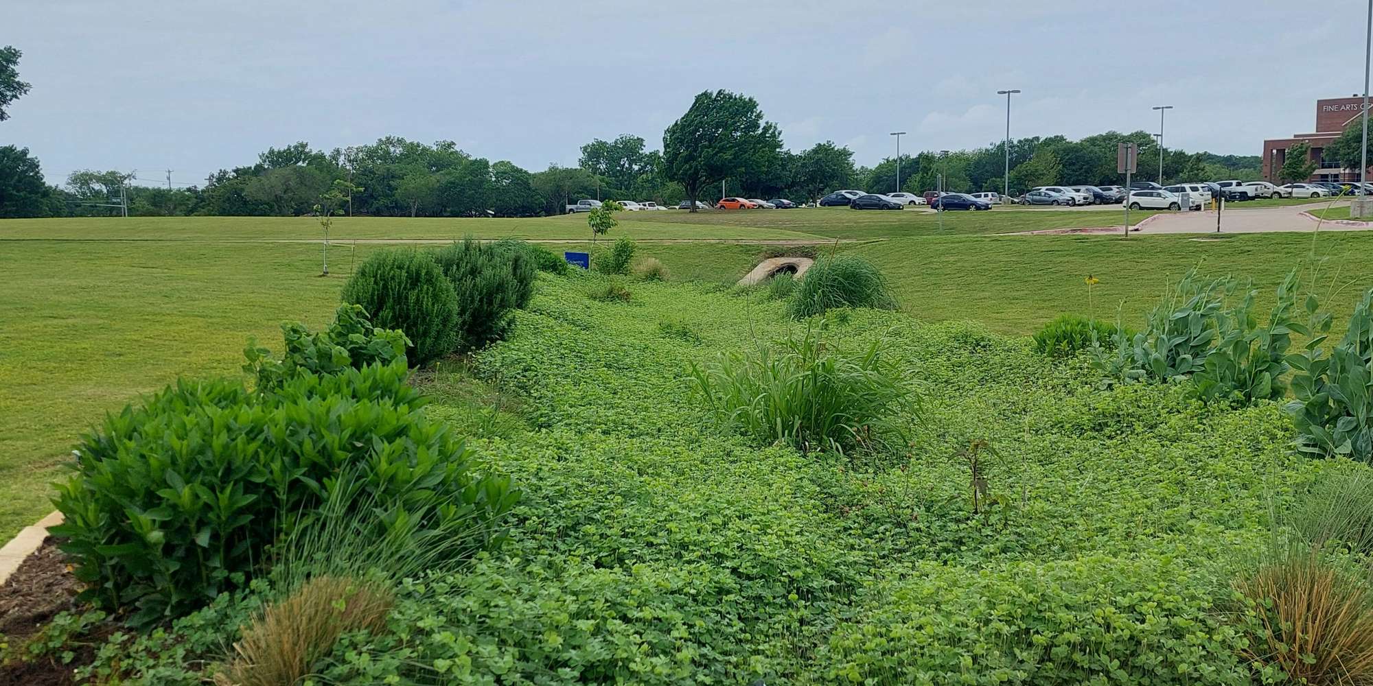 Second image to compare