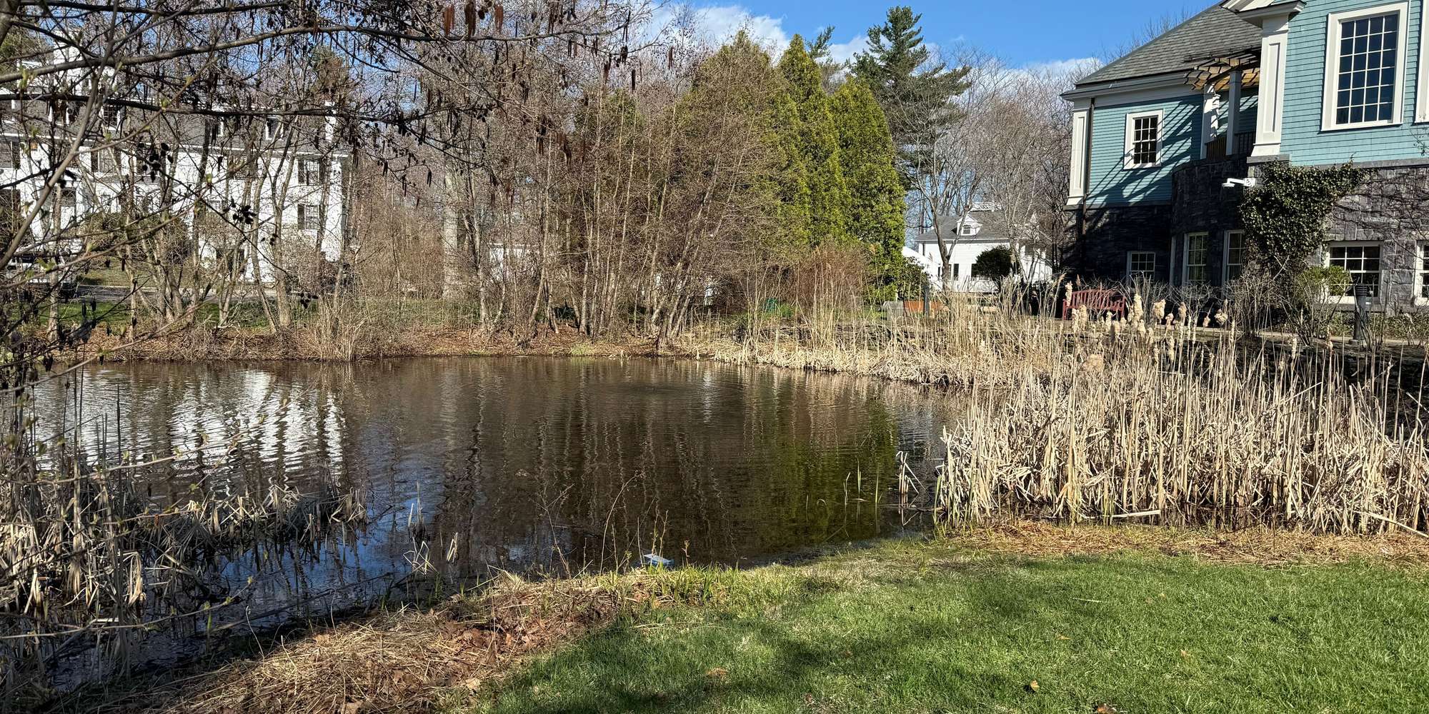 Second image to compare