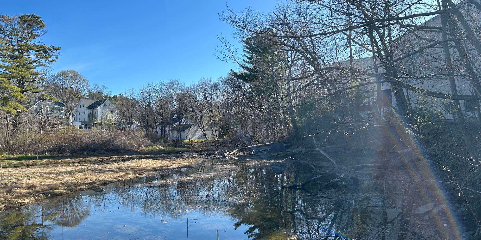 Second image to compare