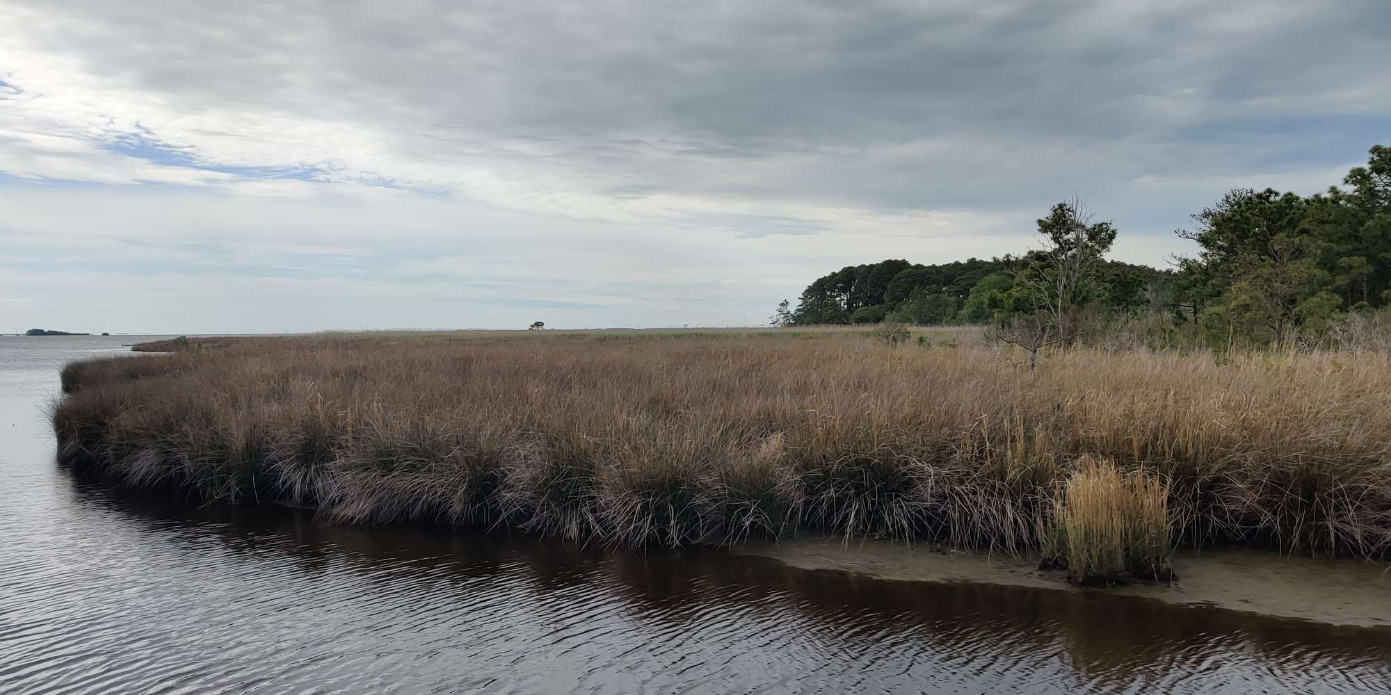 Second image to compare