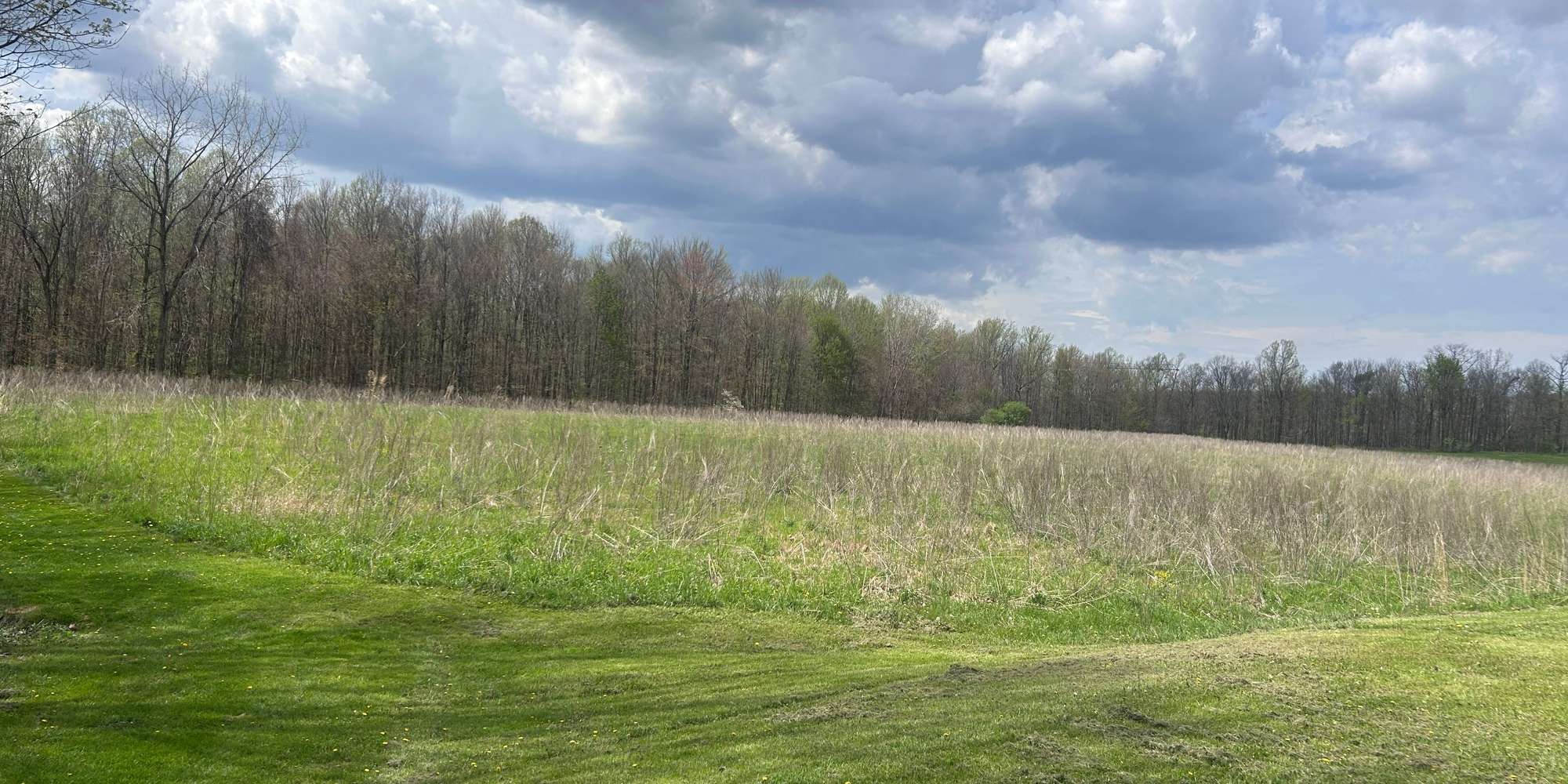 Second image to compare