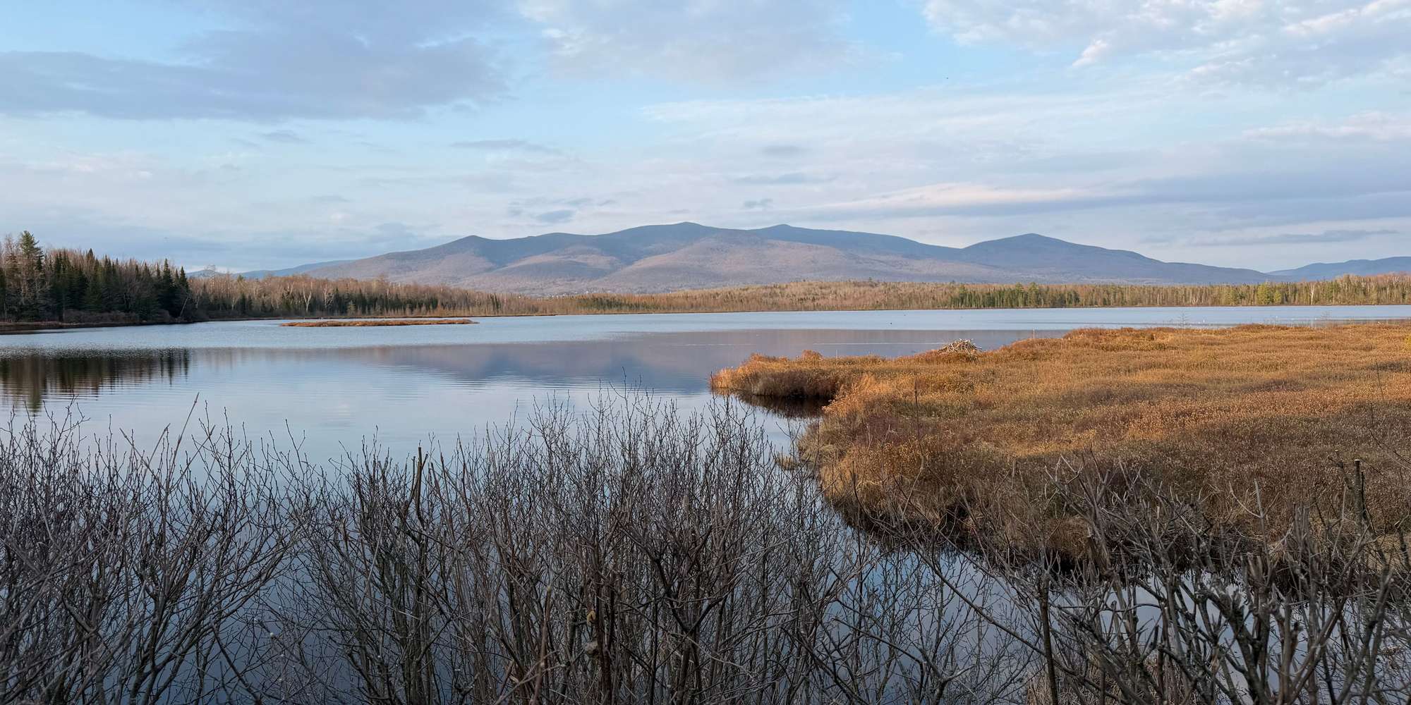 Second image to compare